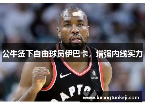 公牛签下自由球员伊巴卡,增强内线实力